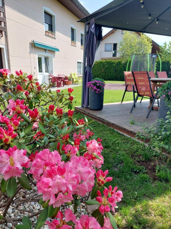 Studio Apartma Zirovnik Церклье-на-Гореньскем Экстерьер фото