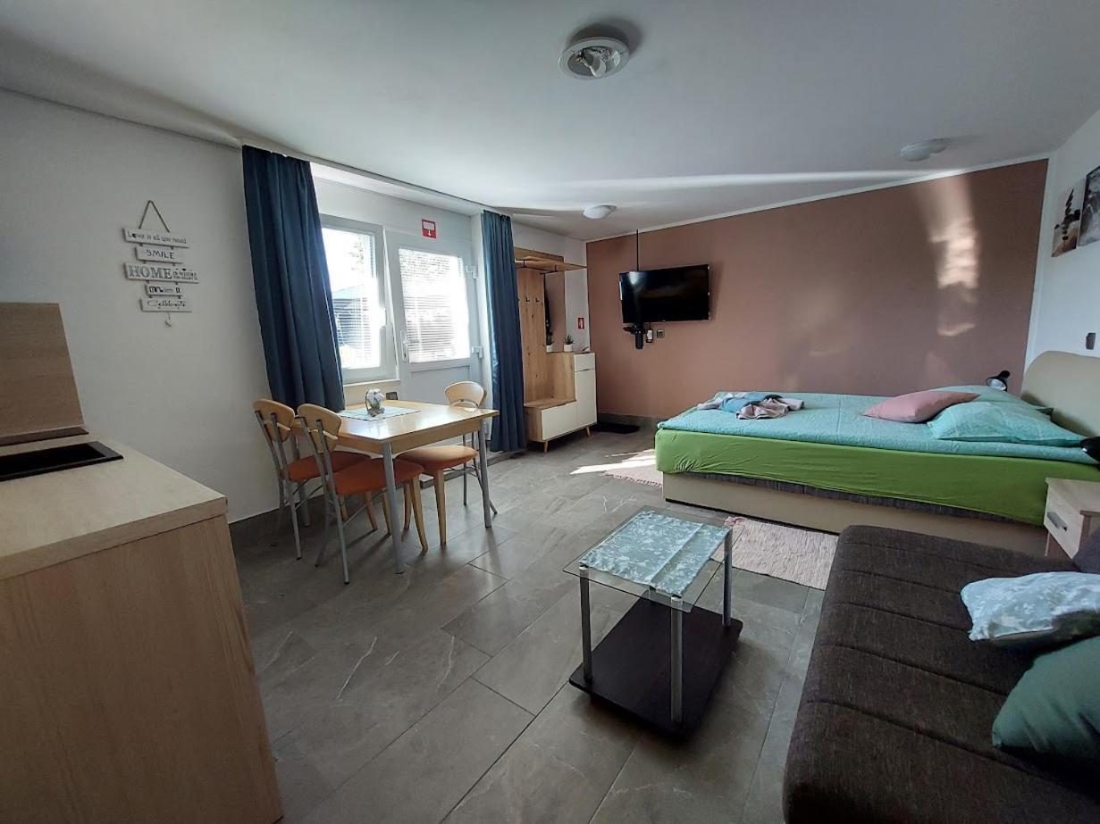 Studio Apartma Zirovnik Церклье-на-Гореньскем Экстерьер фото